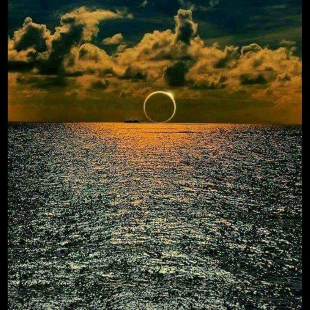 Meet your Posher, Monika